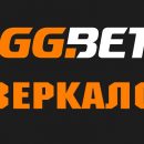 Беспрерывный доступ к букмекерской компании